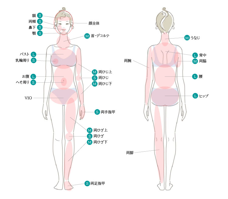 A image to apply the ImageZoom plugin