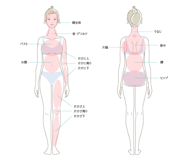 A image to apply the ImageZoom plugin